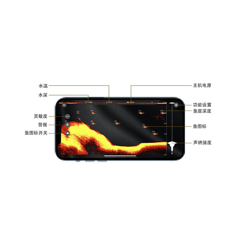 LS-2W - 图片 4